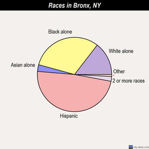 Bronx Demographic